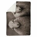 Begin Home Decor 60 x 80 in. Sheep Sepia-Sherpa Fleece Blanket 5545-6080-AN212-1